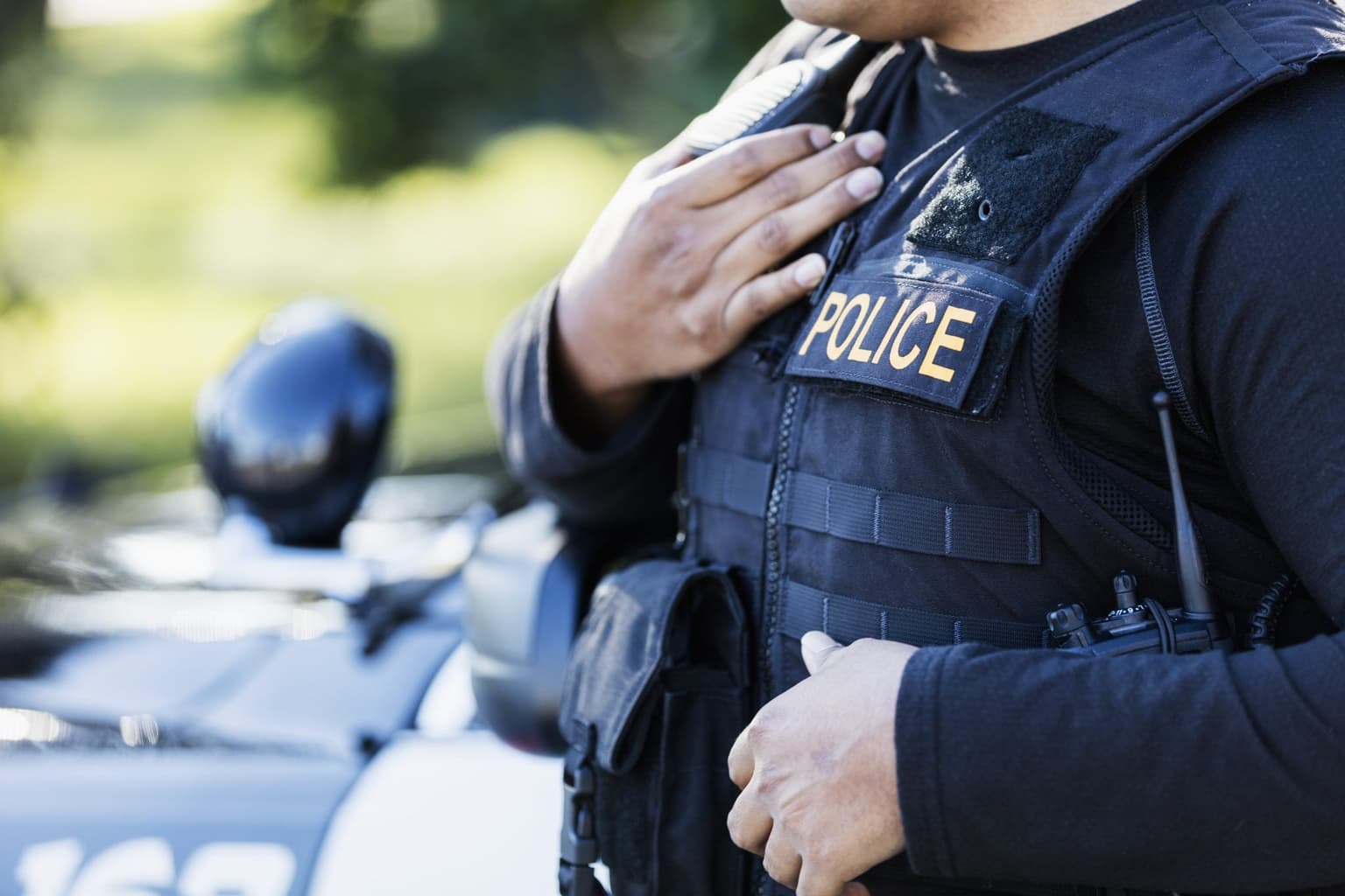 Man calls police to report truck that he nicked has been stolen again