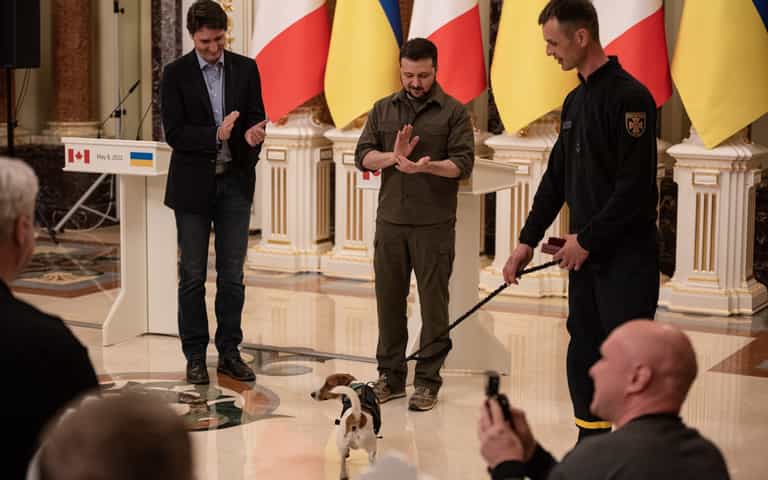 Ukraine’s hero mine-sniffing dog Patron awarded medal by Zelensky for war service Ukraine’s hero mine-sniffing dog Patron awarded medal by Zelensky for war service