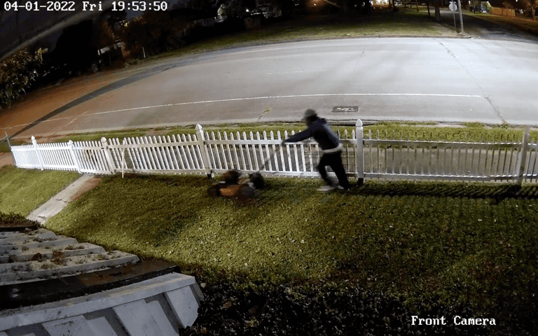 Bizarre moment man ‘burgles home and stops to mow front garden’ before fleeing Bizarre moment man ‘burgles home and stops to mow front garden’ before fleeing