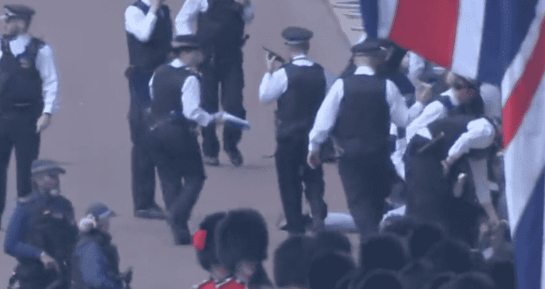 Dramatic moment police swarm on protesters as Trooping the colour gets underway Dramatic moment police swarm on protesters as Trooping the colour gets underway
