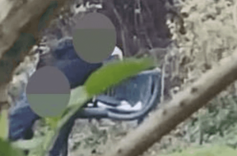 Bobby on the beat caught on video performing sex act in London park fined £500 Bobby on the beat caught on video performing sex act in London park fined £500