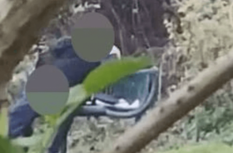 Bobby on the beat caught on video performing sex act in London park fined £500 Bobby on the beat caught on video performing sex act in London park fined £500