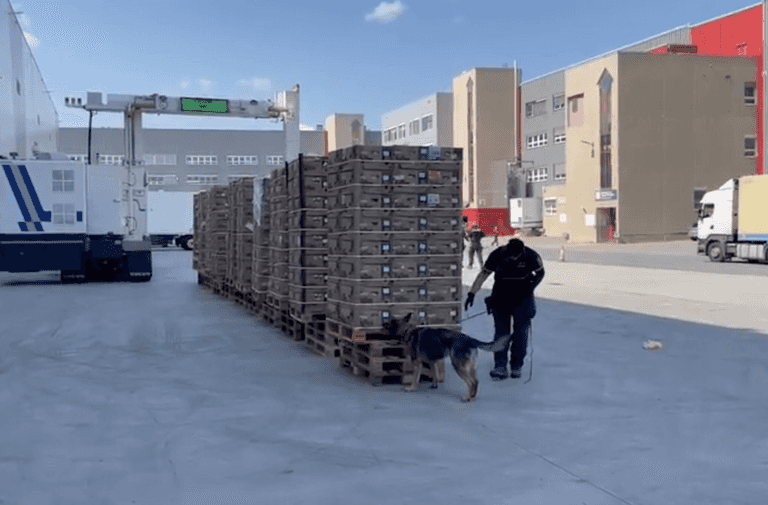 Drug smugglers deliver $83 million of cocaine to supermarkets by mistake Drug smugglers deliver $83 million of cocaine to supermarkets by mistake