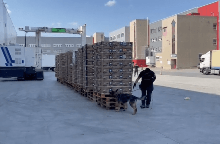 Drug smugglers deliver $83 million of cocaine to supermarkets by mistake Drug smugglers deliver $83 million of cocaine to supermarkets by mistake