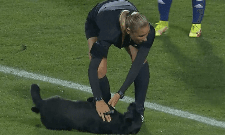 Dog interrupts international football match – insists on belly rubs Dog interrupts international football match – insists on belly rubs