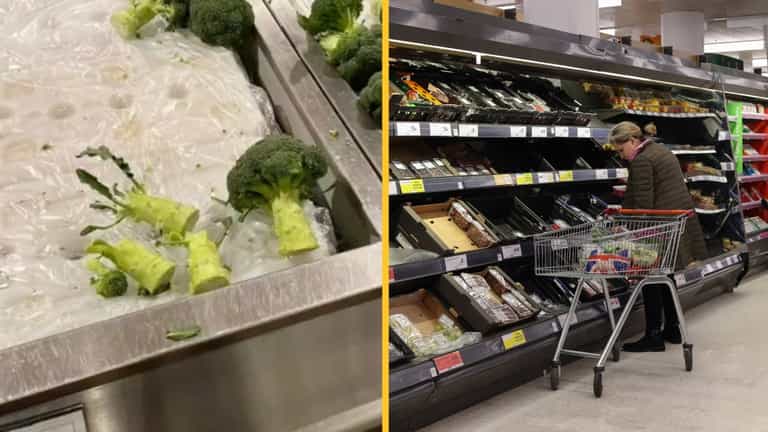 Supermarket cracks down on people breaking off broccoli stems to save money at the till Supermarket cracks down on people breaking off broccoli stems to save money at the till