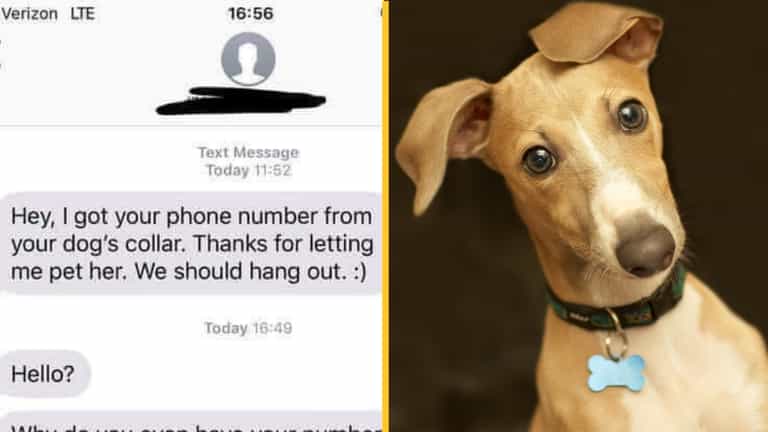 Woman details how ‘super creepy’ man texted her after taking phone number from her dog’s collar at park Woman details how ‘super creepy’ man texted her after taking phone number from her dog’s collar at park