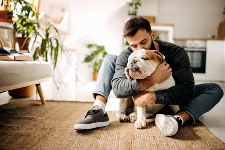Landlords banned from no-fault evictions and must consider tenant requests to keep pets Landlords banned from no-fault evictions and must consider tenant requests to keep pets