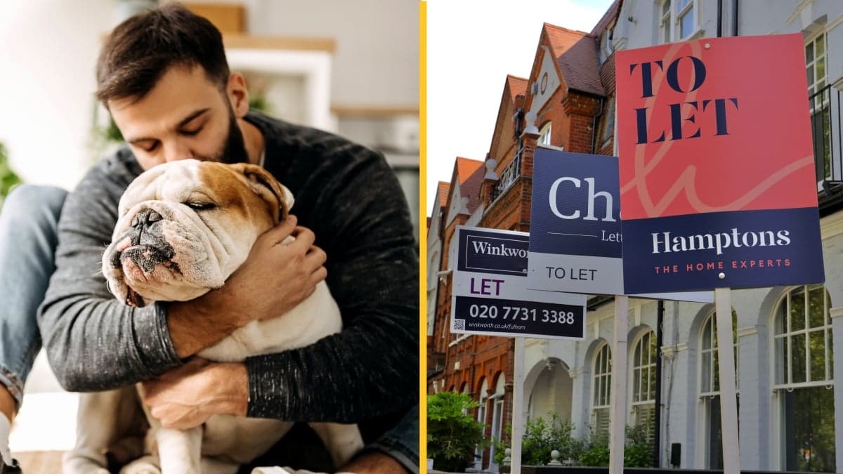 Here’s all the changes that are coming into place for tenants this week