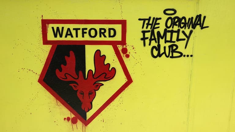 Watford cancel Qatar friendly amid backlash from fans’ group Watford cancel Qatar friendly amid backlash from fans’ group