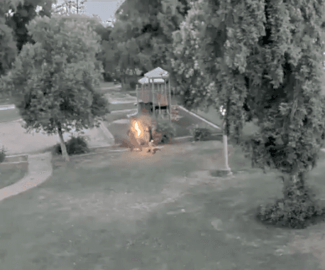 Woman caught on video dousing man in gasoline and setting him alight as he lay in park