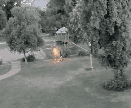 Woman caught on video dousing man in gasoline and setting him alight as he lay in park Woman caught on video dousing man in gasoline and setting him alight as he lay in park