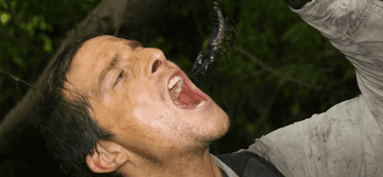 Former vegan Bear Grylls says he is now ‘against vegetables’ and largely eats meat Former vegan Bear Grylls says he is now ‘against vegetables’ and largely eats meat