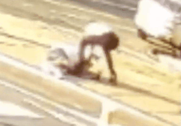 Moment pedestrian is knocked down by motorist – then robbed as they lay in critical condition on road Moment pedestrian is knocked down by motorist – then robbed as they lay in critical condition on road