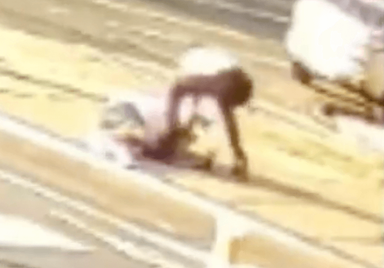 Moment pedestrian is knocked down by motorist – then robbed as they lay in critical condition on road Moment pedestrian is knocked down by motorist – then robbed as they lay in critical condition on road