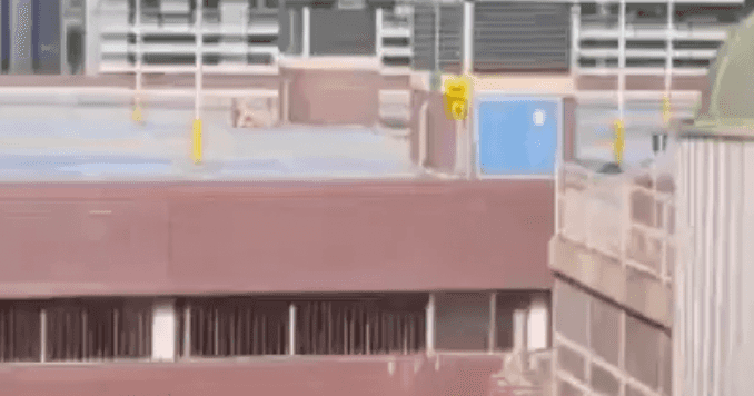 Naked couple filmed having rooftop sex during record heatwave Naked couple filmed having rooftop sex during record heatwave