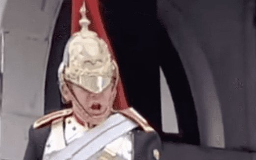 Queen’s Guard screams at tourist who touches his horse Queen’s Guard screams at tourist who touches his horse