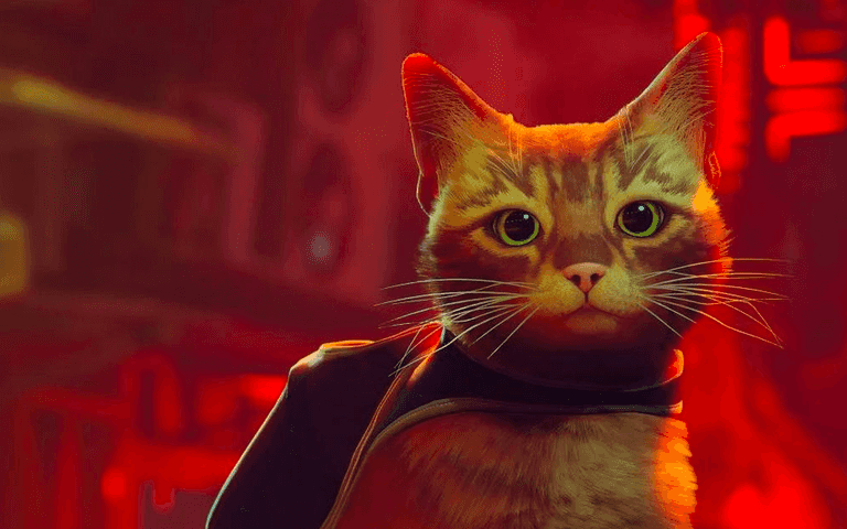 Game where you run around as a stray cat has become the highest-rated release of 2022 Game where you run around as a stray cat has become the highest-rated release of 2022