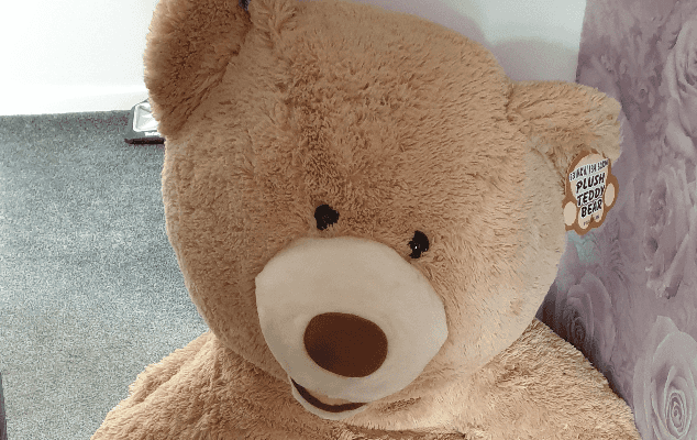 Police catch car thief after noticing giant teddy bear is breathing – and he’s hiding inside Police catch car thief after noticing giant teddy bear is breathing – and he’s hiding inside