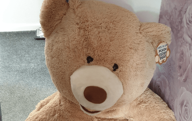 Police catch car thief after noticing giant teddy bear is breathing – and he’s hiding inside Police catch car thief after noticing giant teddy bear is breathing – and he’s hiding inside