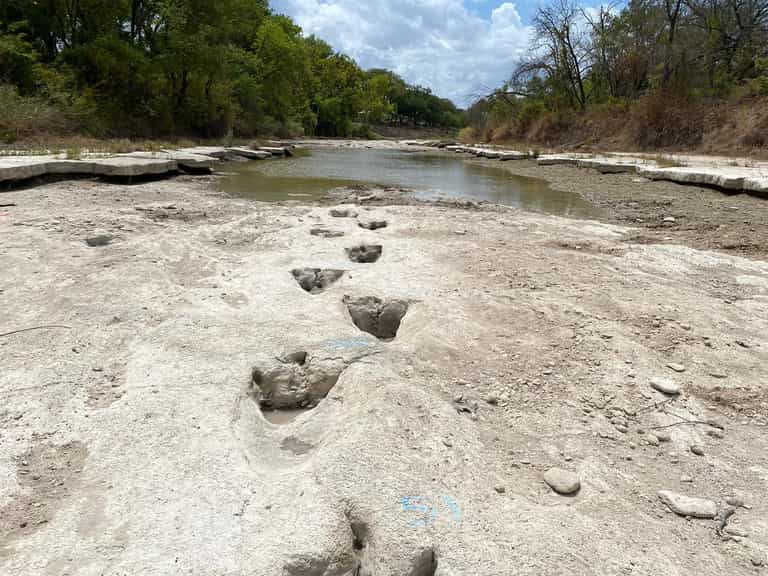 Dinosaur tracks discovered after 113 million years thanks to severe drought conditions Dinosaur tracks discovered after 113 million years thanks to severe drought conditions