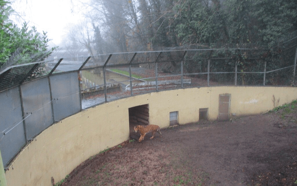 UK zoo hits back as visitors brand it a ‘zombie apocalypse’ with ‘sad and abandoned’ animals