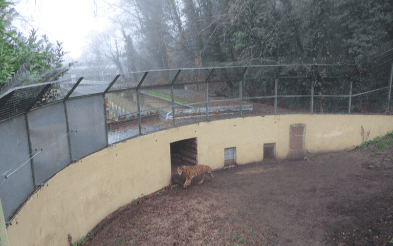 UK zoo hits back as visitors brand it a ‘zombie apocalypse’ with ‘sad and abandoned’ animals UK zoo hits back as visitors brand it a ‘zombie apocalypse’ with ‘sad and abandoned’ animals