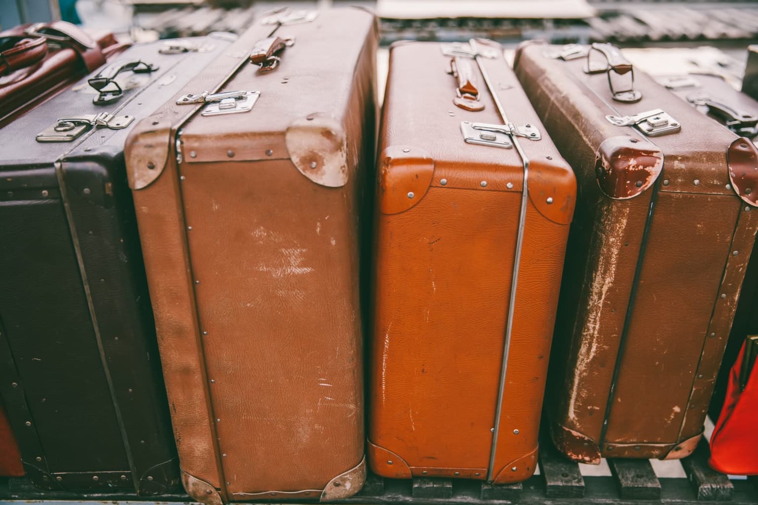 Human remains found in suitcase bought at auction