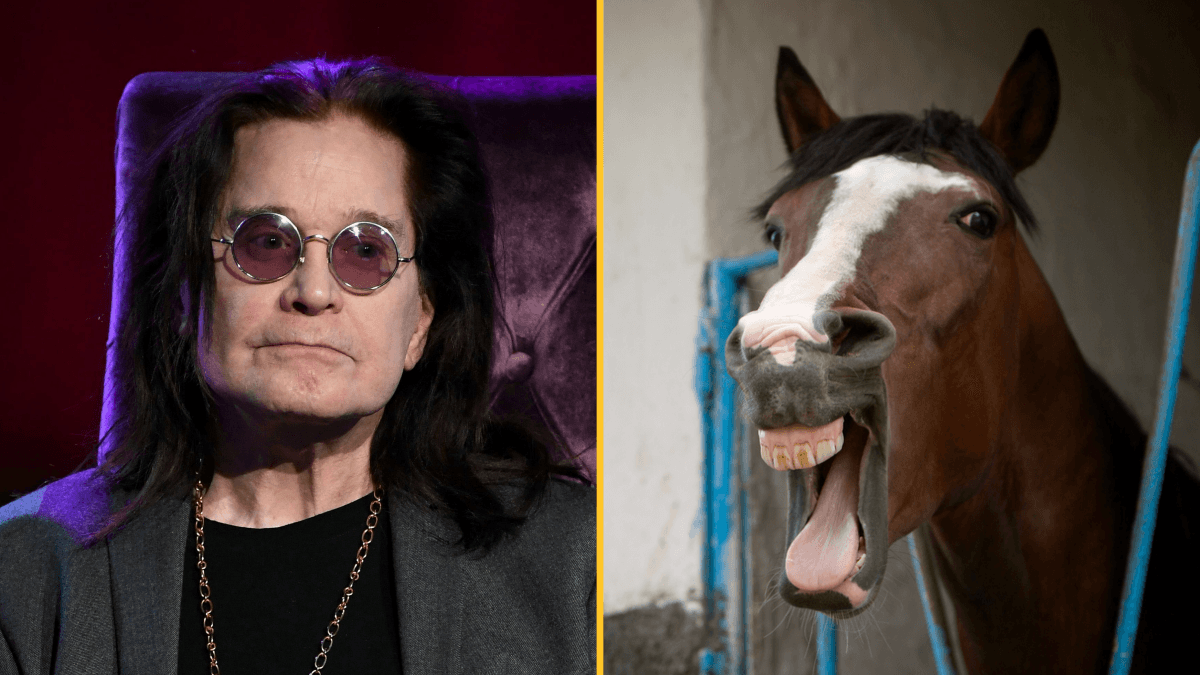 Ozzy Osbourne says he gave up acid after horse told him to ‘f**k off’