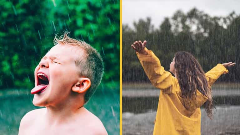 Rainwater is now too toxic for humans to drink and it’s our fault, study finds Rainwater is now too toxic for humans to drink and it’s our fault, study finds