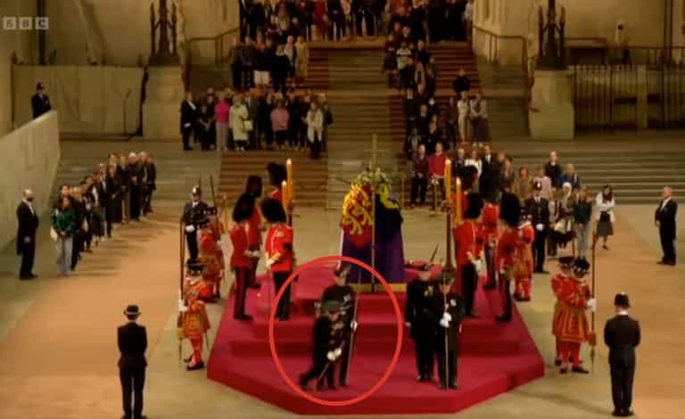 Queen’s guard collapses and falls from coffin podium Queen’s guard collapses and falls from coffin podium