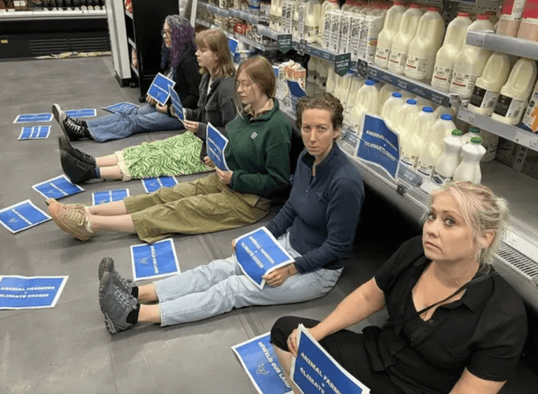 Vegans block access for customers wanting milk in four UK cities Vegans block access for customers wanting milk in four UK cities