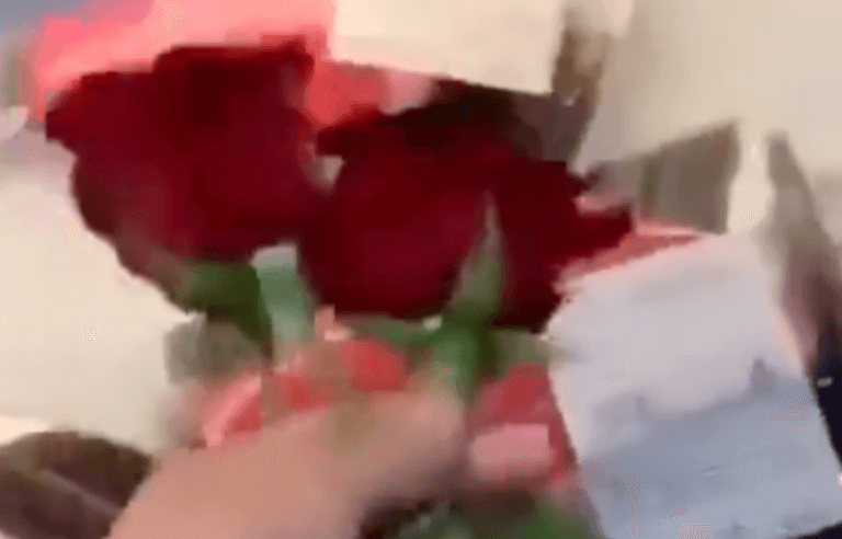 Vegans throw roses on meat at counter to pay ‘homage to the fallen’ Vegans throw roses on meat at counter to pay ‘homage to the fallen’