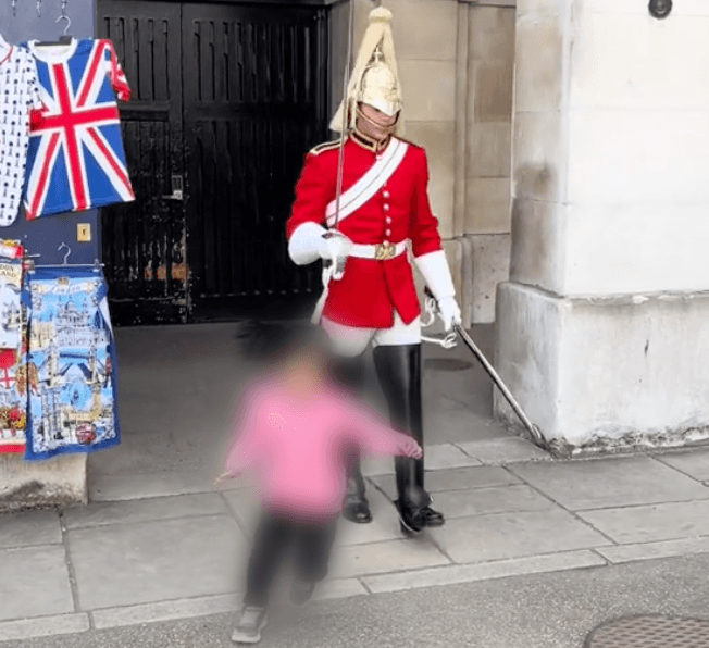 King’s Guard makes young girl flee in fear after shouting ‘stand clear’ King’s Guard makes young girl flee in fear after shouting ‘stand clear’