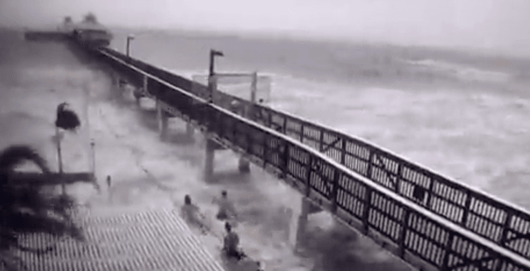 Shocking footage shows three Florida men trying to take a swim during Hurricane Ian Shocking footage shows three Florida men trying to take a swim during Hurricane Ian