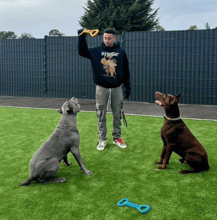 Jesse Lingard faces backlash for posing next to dogs with ‘cropped’ ears Jesse Lingard faces backlash for posing next to dogs with ‘cropped’ ears