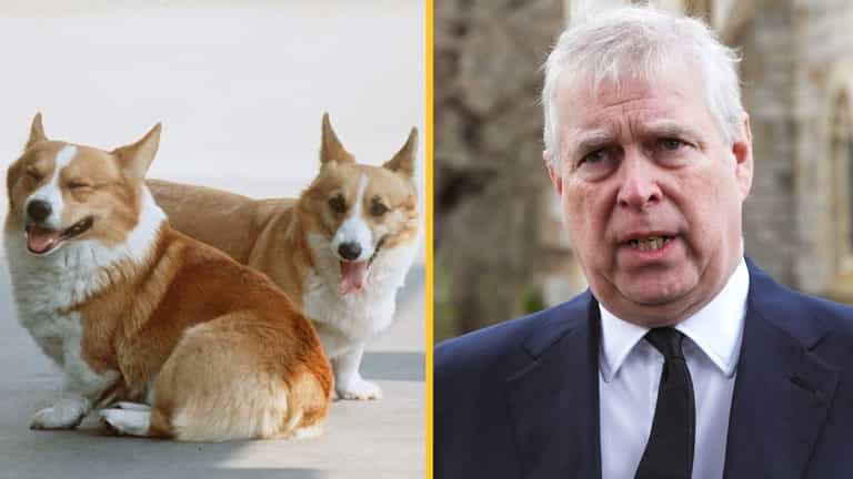 Queen’s beloved corgis will be cared for by Prince Andrew Queen’s beloved corgis will be cared for by Prince Andrew