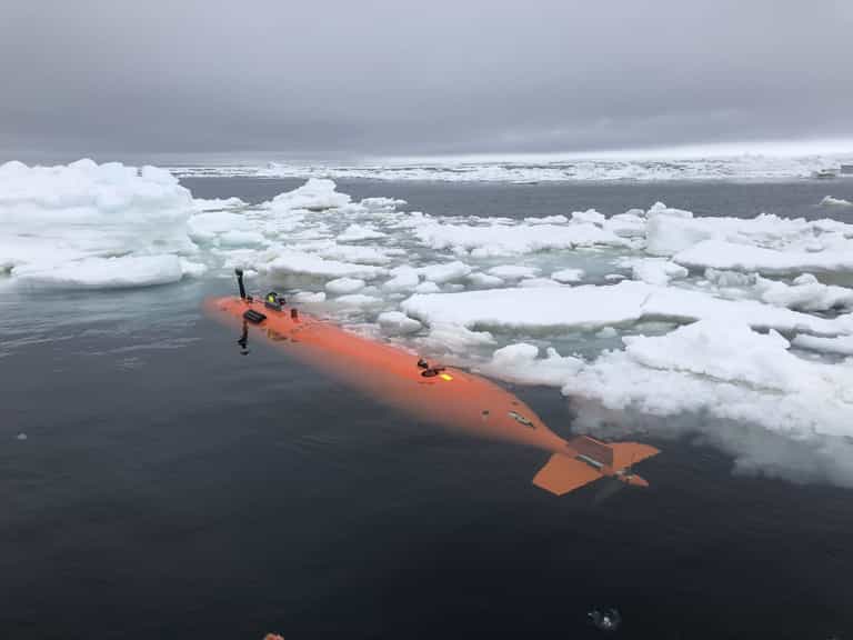 Huge glacier the size of Florida ‘holding on by its fingernails’ Huge glacier the size of Florida ‘holding on by its fingernails’