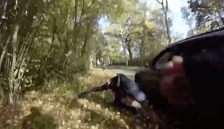 Shocking footage shows moment anti-hunt activist is mowed down by speeding vehicle Shocking footage shows moment anti-hunt activist is mowed down by speeding vehicle