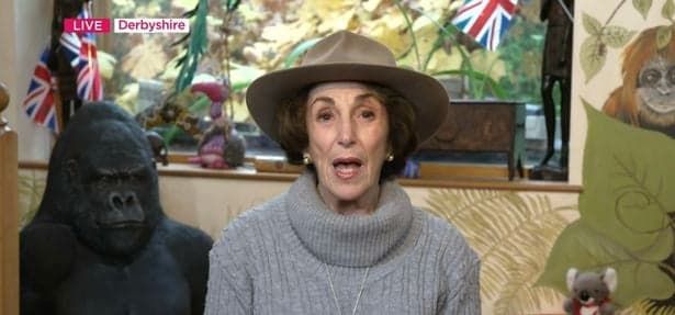Edwina Currie wants ‘obnoxious’ Boy George to do more Bushtucker trials Edwina Currie wants ‘obnoxious’ Boy George to do more Bushtucker trials
