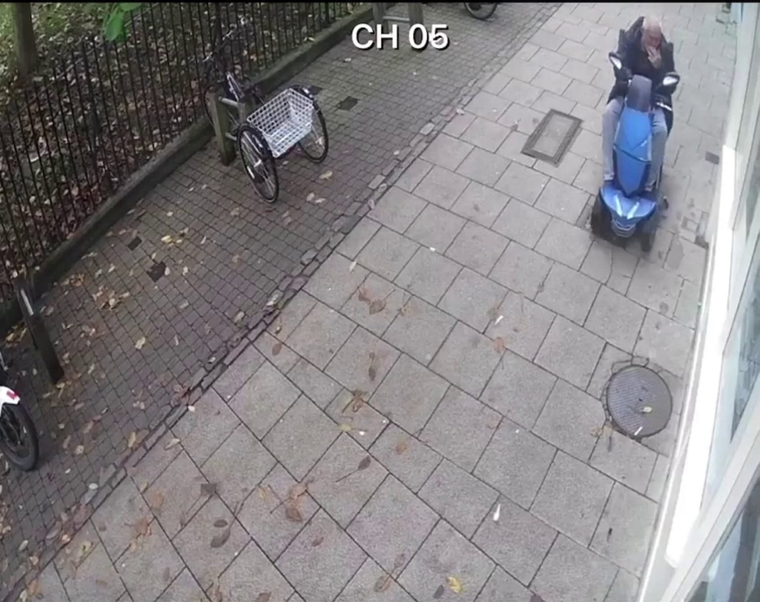 Manhunt after mobility scooter rider runs down pigeon outside ‘pigeon-positive’ vegan shop