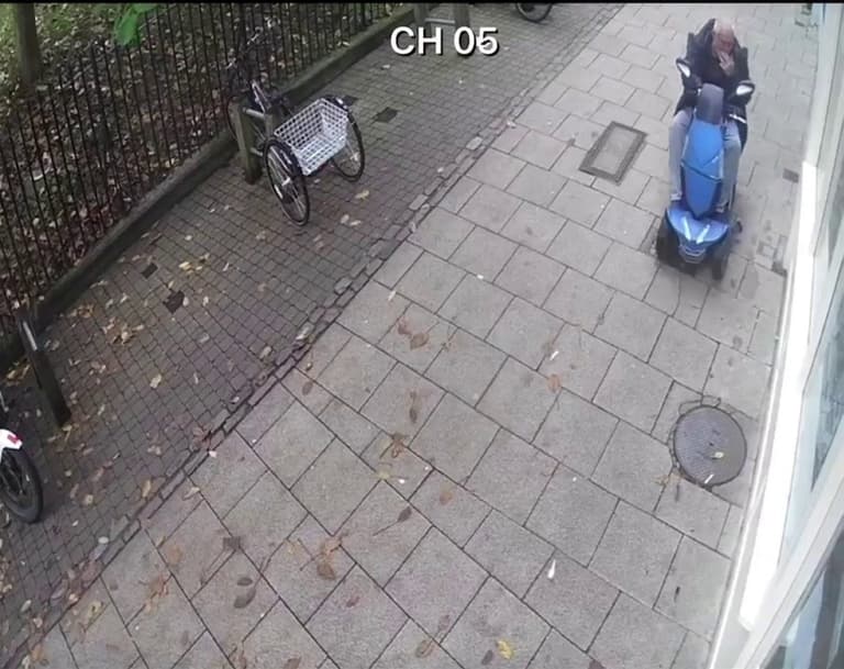 Manhunt after mobility scooter rider runs down pigeon outside ‘pigeon-positive’ vegan shop Manhunt after mobility scooter rider runs down pigeon outside ‘pigeon-positive’ vegan shop