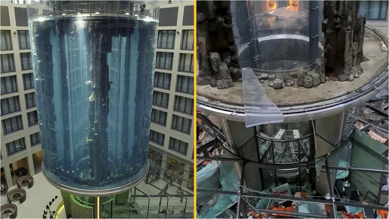Giant 82ft-high aquarium containing 1,500 fish explodes in Berlin Giant 82ft-high aquarium containing 1,500 fish explodes in Berlin