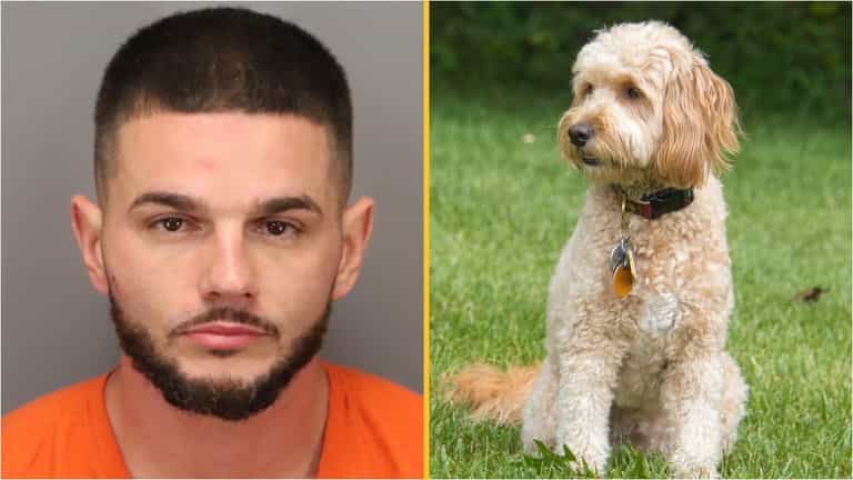 Man arrested for having sex with dog before trashing Nativity scene Man arrested for having sex with dog before trashing Nativity scene