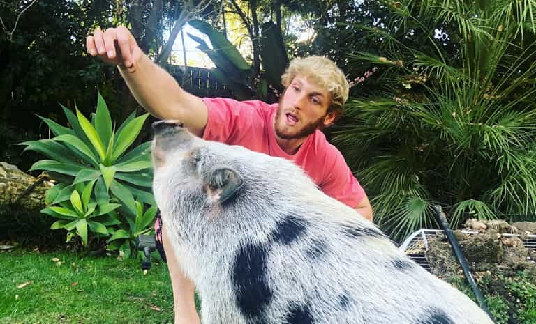 Pet pig that used to belong to Logan Paul found ‘abandoned in life-threatening condition’ Pet pig that used to belong to Logan Paul found ‘abandoned in life-threatening condition’