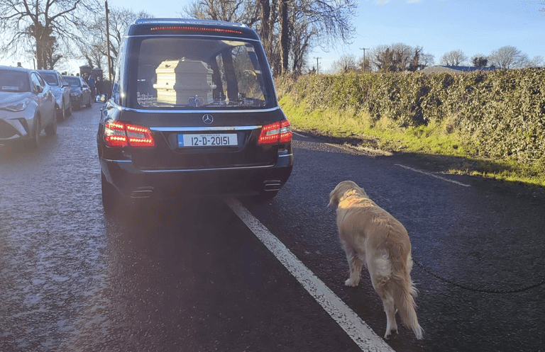Woman’s loyal dog pictured following her coffin to final resting place Woman’s loyal dog pictured following her coffin to final resting place