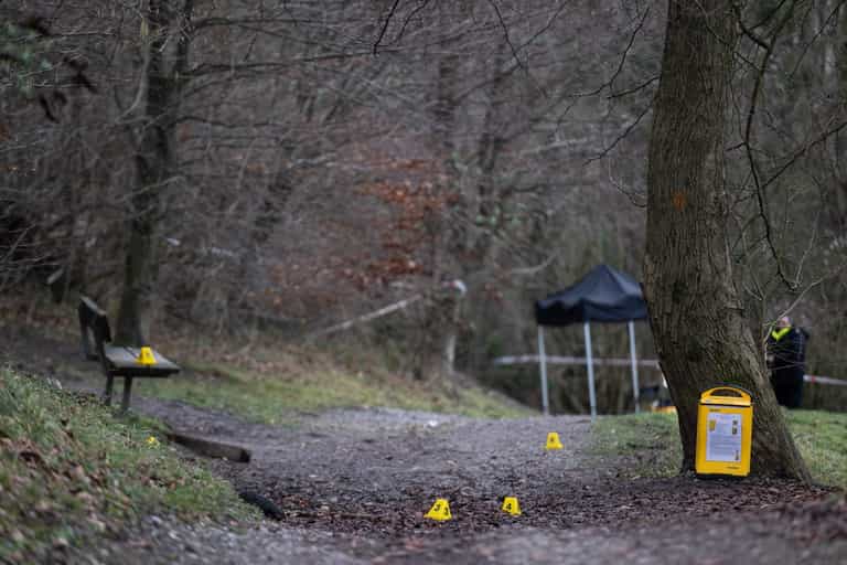 Dachshunds seized after woman mauled to death in horrific Surrey dog attack Dachshunds seized after woman mauled to death in horrific Surrey dog attack