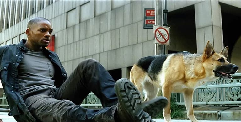 I Am Legend sequel starring original cast officially in the works I Am Legend sequel starring original cast officially in the works