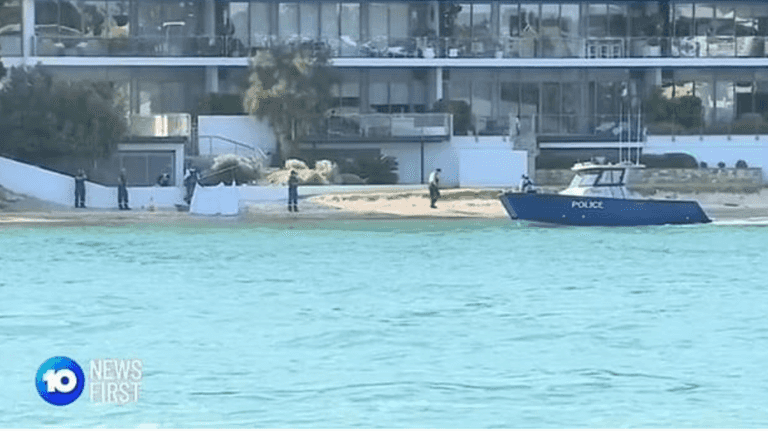Teen jumps off jetski to swim with dolphins and gets killed by shark in river attack Teen jumps off jetski to swim with dolphins and gets killed by shark in river attack