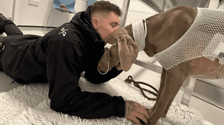‘I’d sell my house to keep her alive’: Man faces £20,000 vet bill to save dog’s life ‘I’d sell my house to keep her alive’: Man faces £20,000 vet bill to save dog’s life